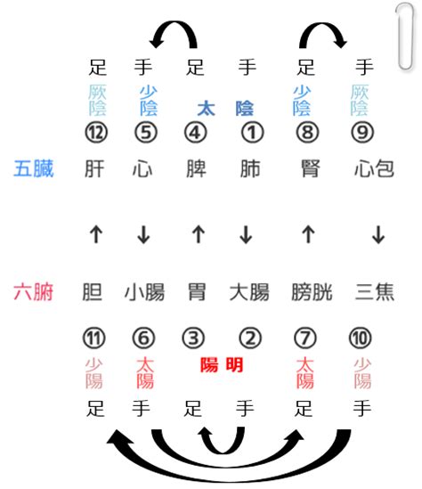 三陰三陽 日本|陰一陽と三陰三陽